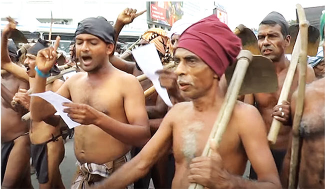 Fertiliser ban decimates Sri Lankan crops as government popularity