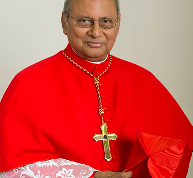 Those who failed to prevent carnage going places -Cardinal – The Island