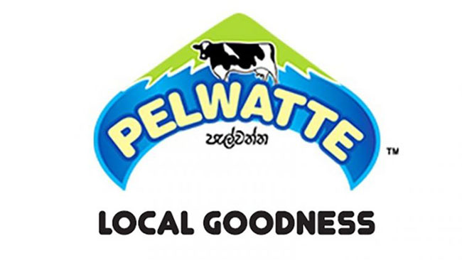 Pelwatte sees new appointments to its director board – The Island
