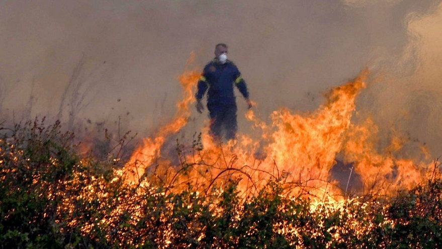 Greece Wildfires: Eighteen Bodies Found In Greek Forest – The Island