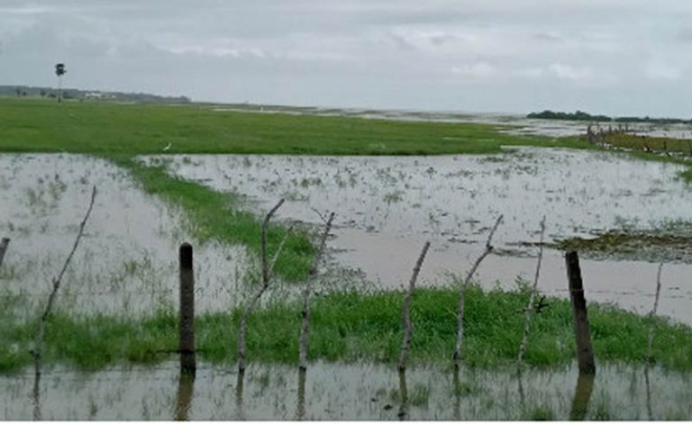 Over 300,000 acres of crops damaged by adverse weather, farmers demand ...