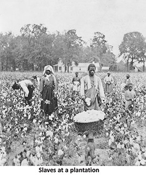 George Floyd, African-Americans, and Sri Lanka’s Estate Tamils (Part I ...