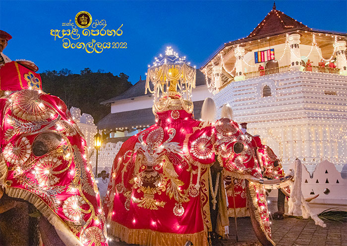 Sri Dalada Perahera In The 1800s - vrogue.co