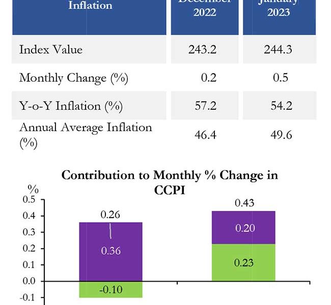 CCPI based headline inflation eases further in January 2023 - Vimarsana News